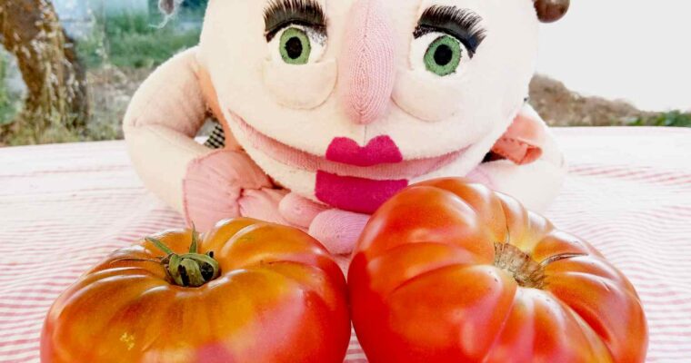 Tomato // vegetable (botanically a fruit)